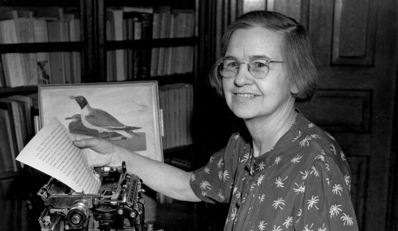 Read more about the article Margaret Morse Nice Thought Like a Song Sparrow and Changed How Scientists Understand Animal Behavior