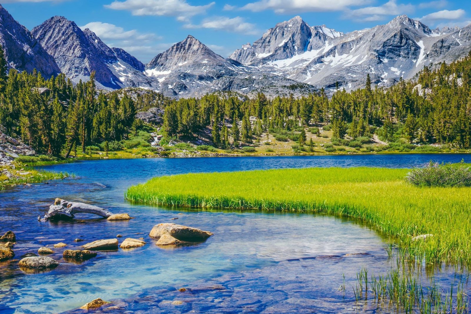 You are currently viewing Where the Wild Things Thrive: Finding and Protecting Nature’s Climate Change Safe Havens