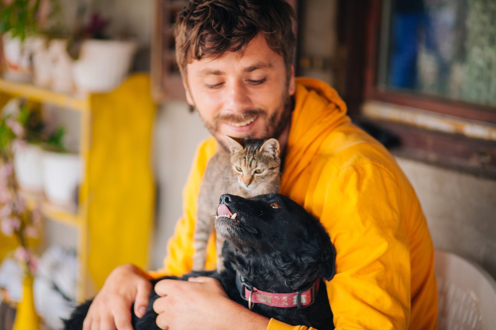 You are currently viewing Pet Parents Survey Points to How Much They Love (and Spend on) Their Furry Friends