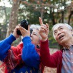 Why Birdwatching Is Good for You: All About the “Profound” Mental Health Benefits of the Avian Pastime