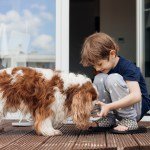 Altruism, Empathy Toward Animals Begins at an Early Age for Many, Study Finds: “Domestication Enabled Humans to Thrive”