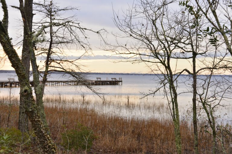 Read more about the article Three Boys Discover a Nearly 1,000-Year-Old Native American Canoe in Lake: Watch the Excavation
