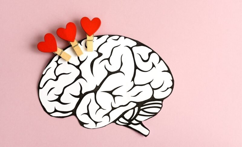 Read more about the article Where Does the Brain Feel Love? Study Evaluates 6 Types and Reveals Which Is Strongest