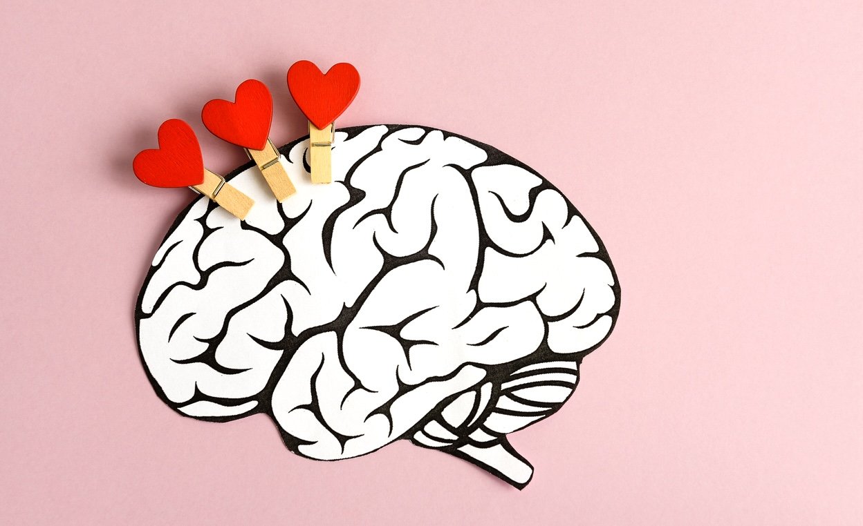 You are currently viewing Where Does the Brain Feel Love? Study Evaluates 6 Types and Reveals Which Is Strongest