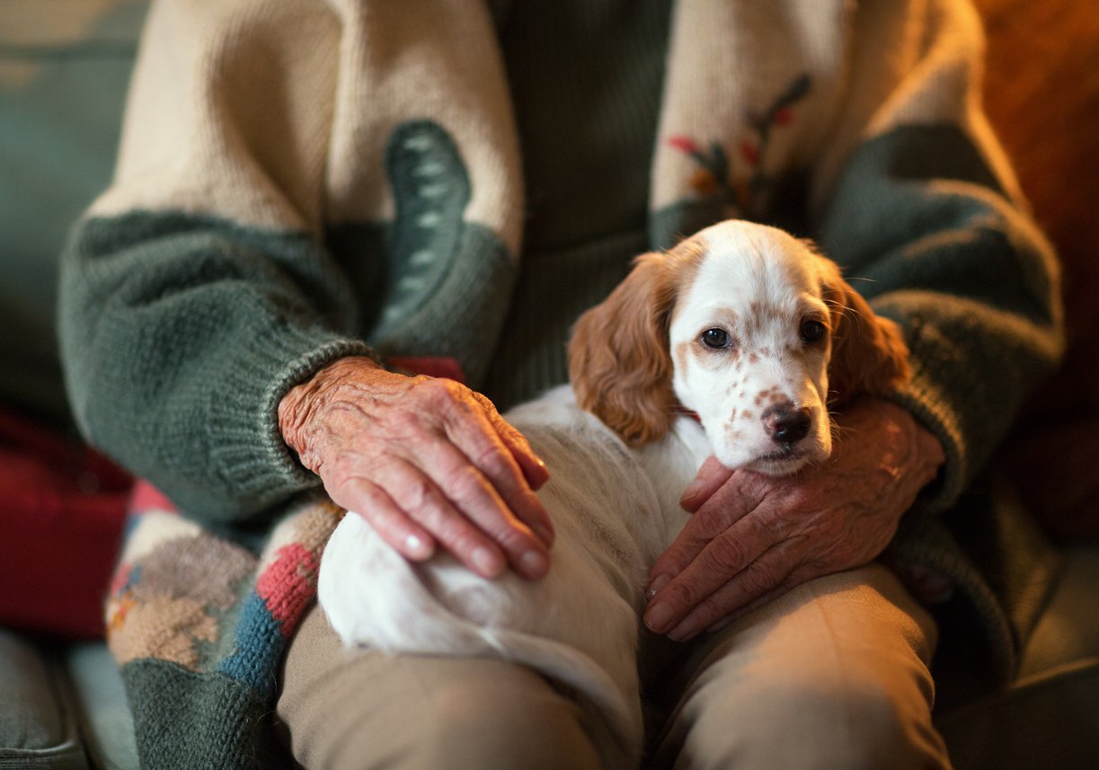 You are currently viewing Nonprofit Helps Older People Care for Their Dogs: “They Deserve Every Kindness”