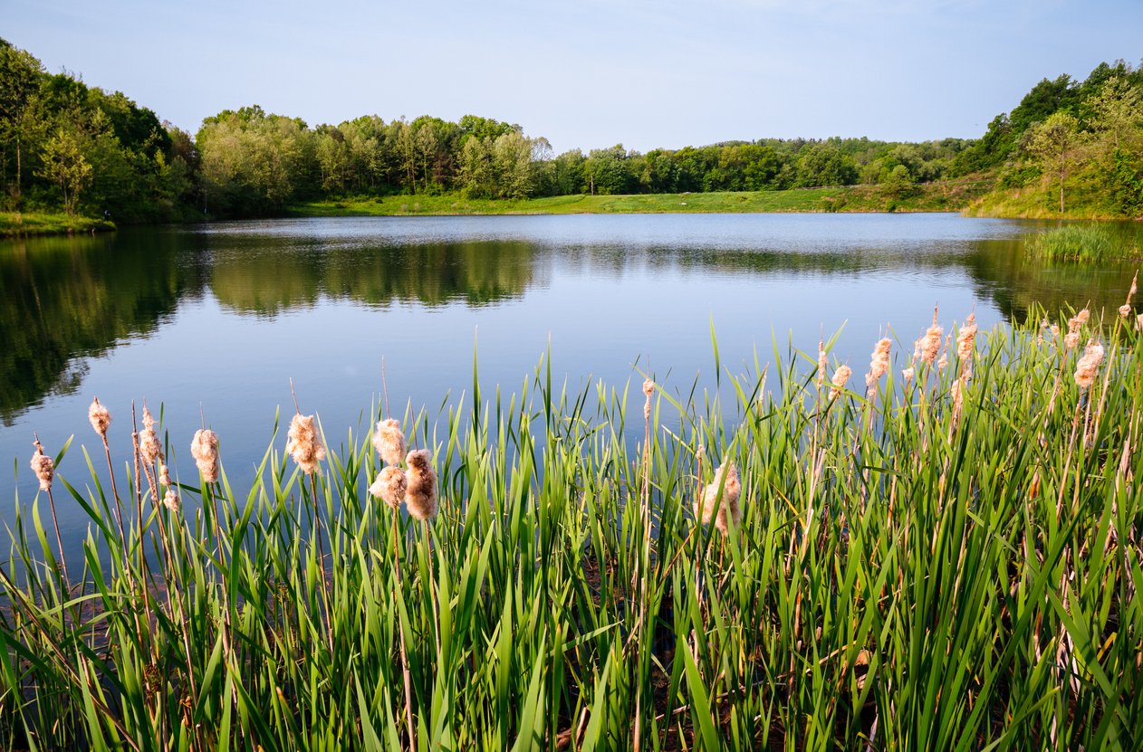 You are currently viewing Formerly Toxic Wasteland Transforms Into a National Park After Decades-Long Effort￼