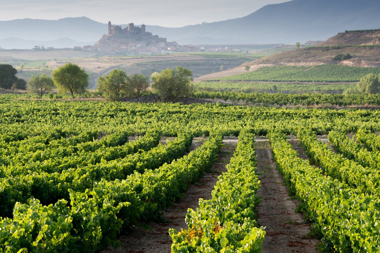 You are currently viewing How Old Spanish Vines May Bring New Hope to the Wine Industry in the Face of Climate Change