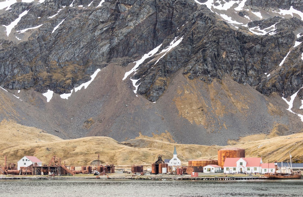You are currently viewing Inside South Georgia Museum: One of the Most Remote Museums in the World