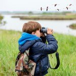Why Birdwatching Is Good for You: All About the “Profound” Mental Health Benefits of the Avian Pastime