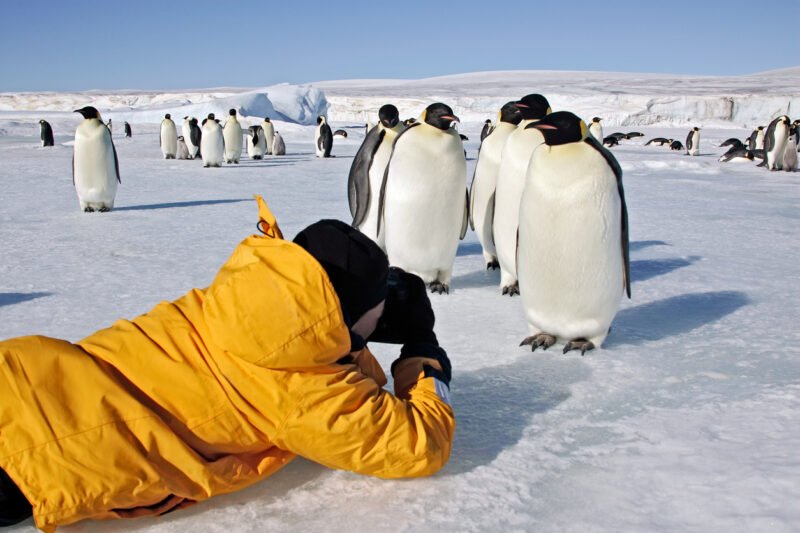 Read more about the article Antarctica Promotes Tourists to Scientific Ambassadors for “Immersive Experience”