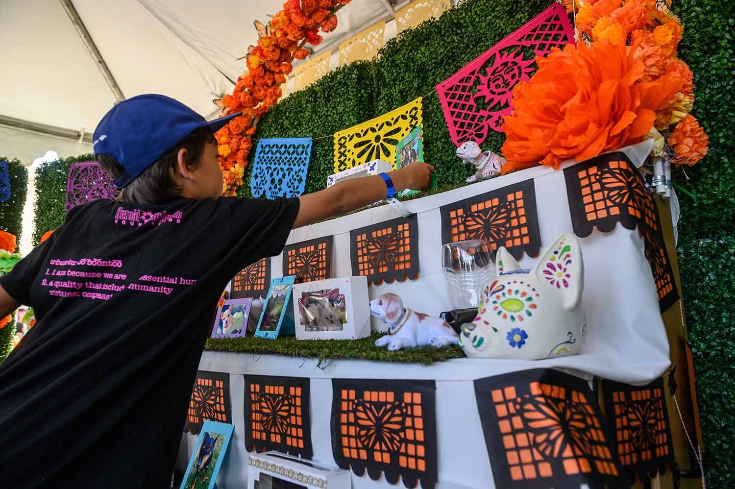 You are currently viewing LA Zoo’s Pet Ofrenda Honors Departed Furry Family Members for Día de los Muertos