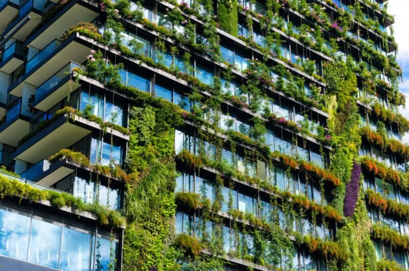 Read more about the article Greenery and Color in Urban Settings Boost Morale, Study Finds