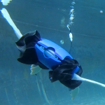 Meet ART: The Amphibious Robotic Turtle With Limbs That Morph Into Flippers￼