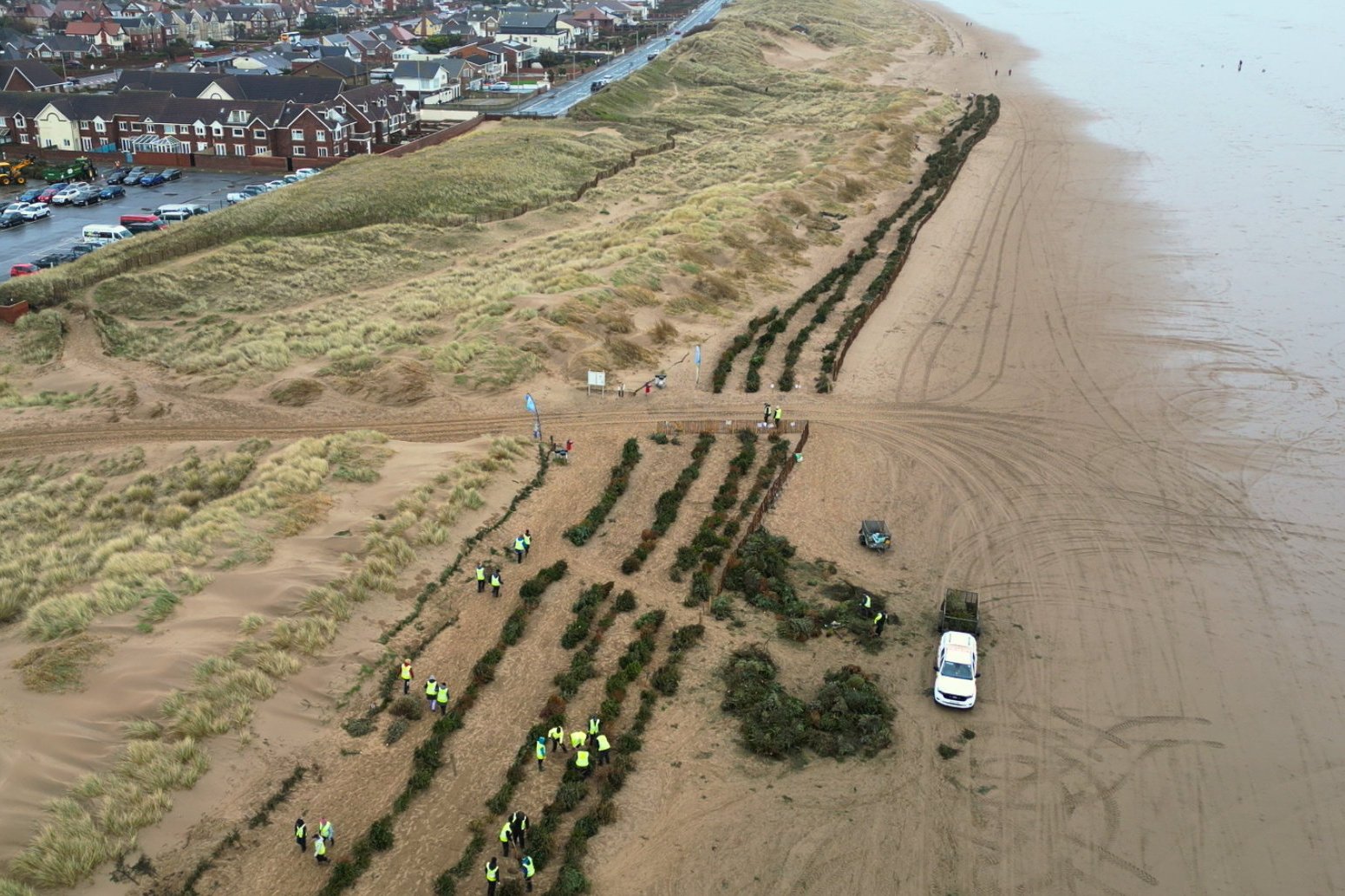 You are currently viewing Every Year, Thousands of Donated Christmas Trees Help Combat Erosion Along an English Coastline